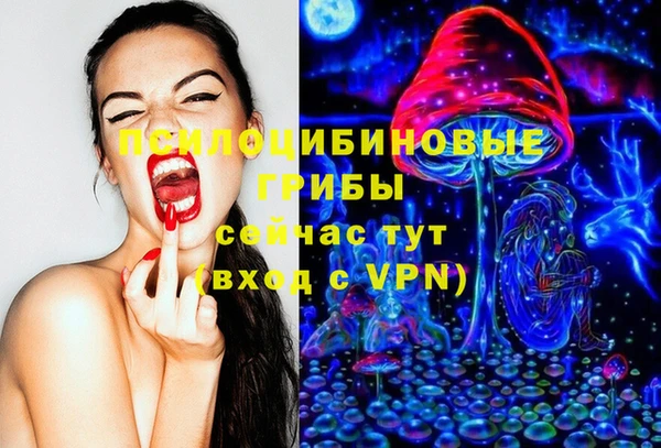 ГАЛЛЮЦИНОГЕННЫЕ ГРИБЫ Осташков